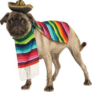 Poncho y sombrero