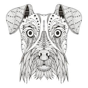 Mandalas de schnauzer