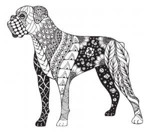 Mandalas de perro boxer