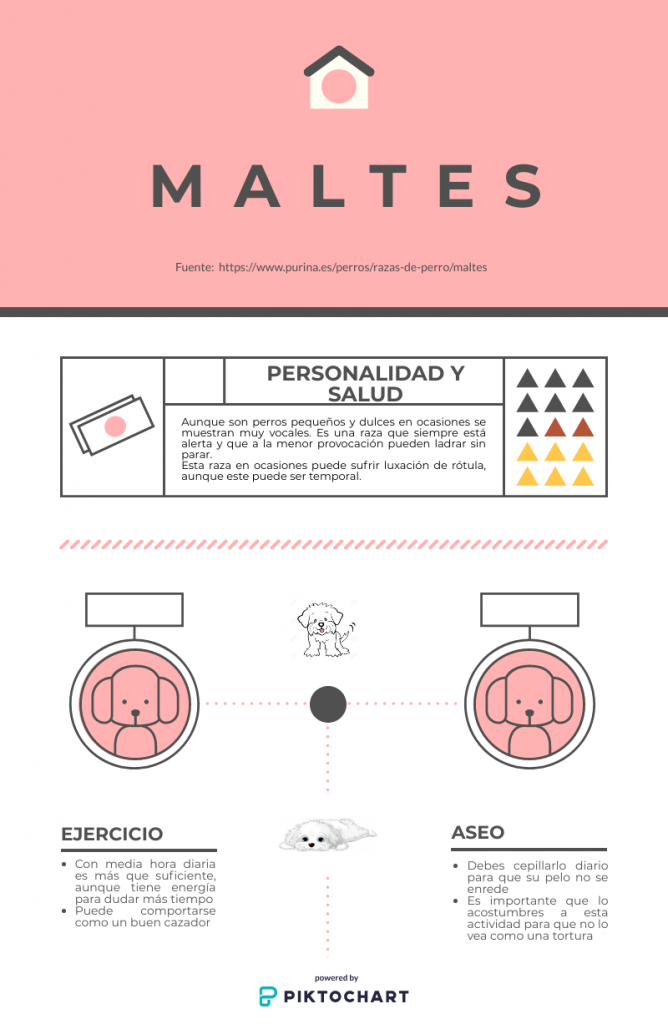 Infografía maltés