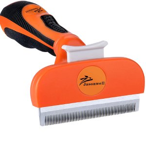 cepillo jasonwell