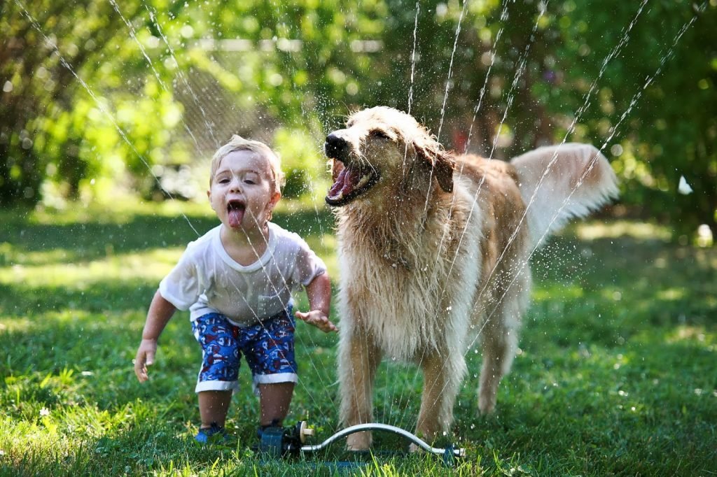 Niño y perro jugando